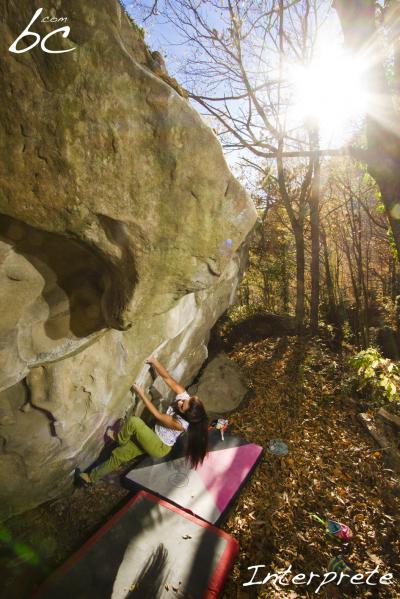 Dani warmed up in Interprete